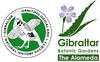 Coleoptera of Gibraltar 